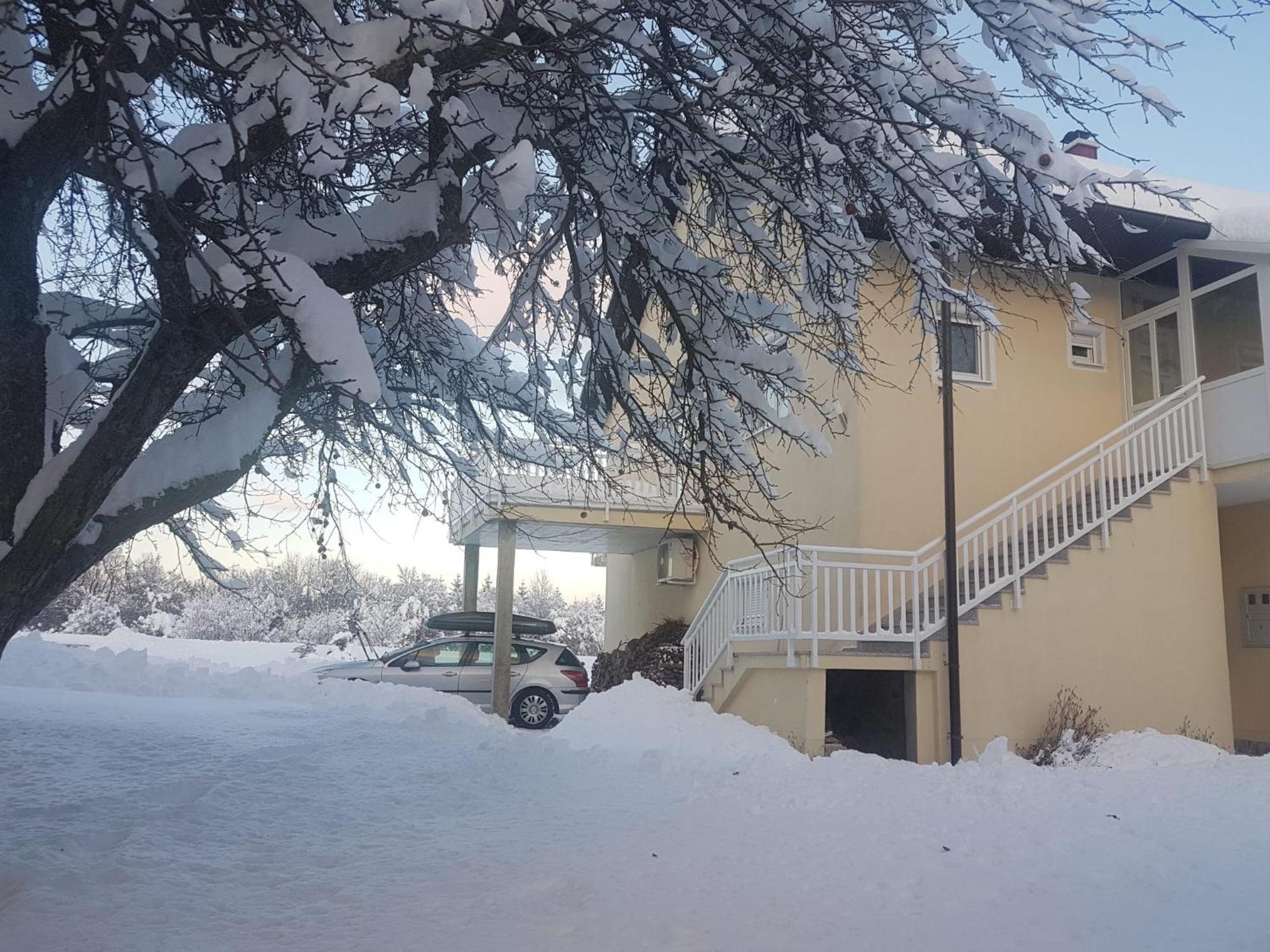 Potok Apartman *